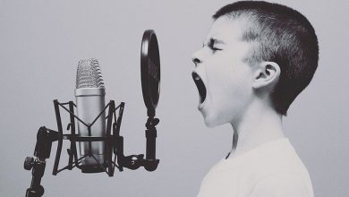microphone 1209816 640