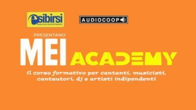MEI ACADEMY
