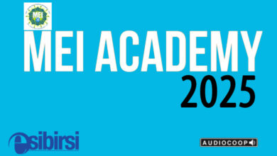 MEI ACADEMY 2025