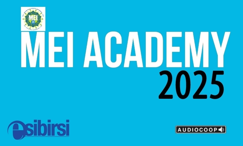 MEI ACADEMY 2025
