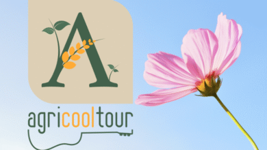 AGRICOOLTOUR FESTIVAL #2024 - BANDOPER ARTISTI E STRUTTURE