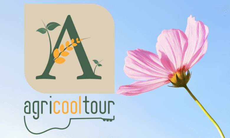 AGRICOOLTOUR FESTIVAL #2024 - BANDOPER ARTISTI E STRUTTURE