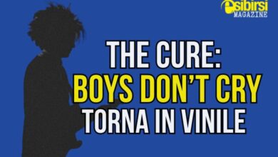 Boys Don't Cry